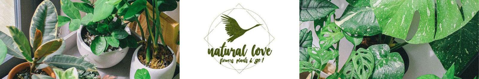 Natural love